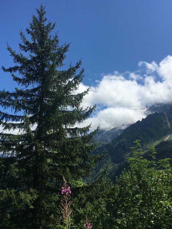 Les Pierres Blanches Mont Blanc Lägenhet Les Contamines-Montjoie Exteriör bild