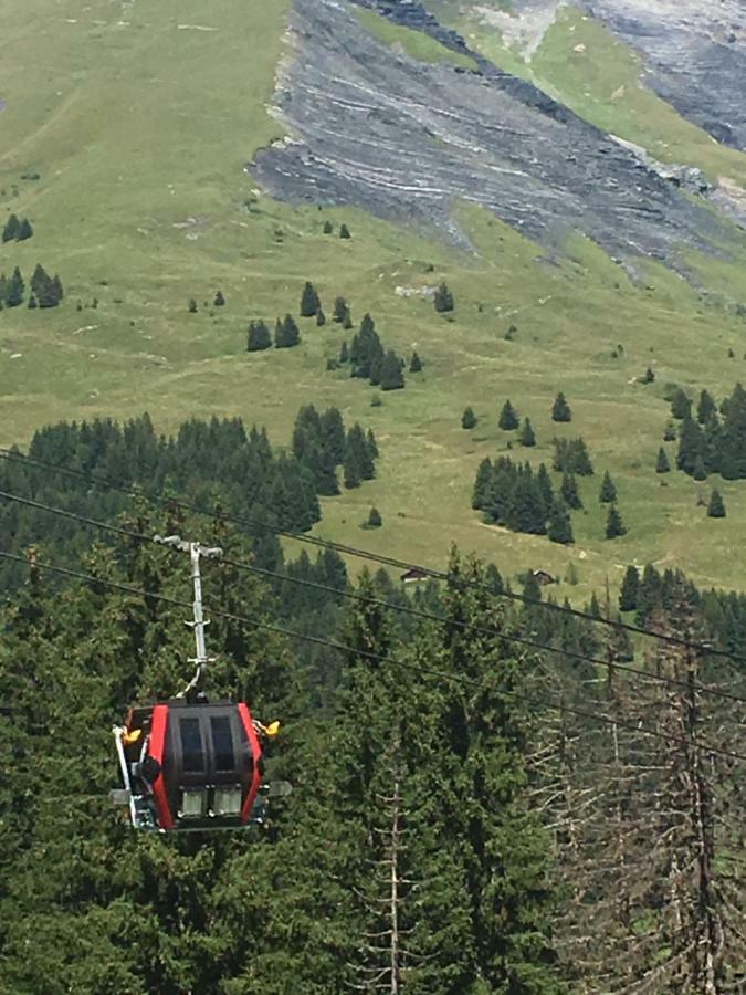 Les Pierres Blanches Mont Blanc Lägenhet Les Contamines-Montjoie Exteriör bild